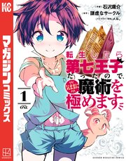 転生したら第七王子だったので、気ままに魔術を極めます の表紙