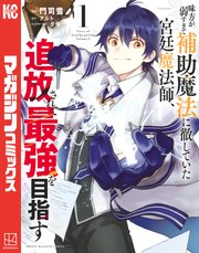 味方が弱すぎて補助魔法に徹していた宮廷魔法師、追放されて最強を目指す の表紙