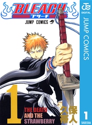 BLEACH モノクロ版 の表紙