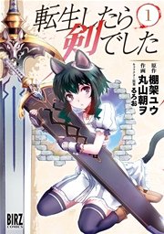 転生したら剣でした の表紙