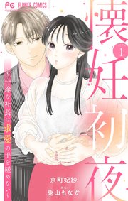 懐妊初夜 の表紙